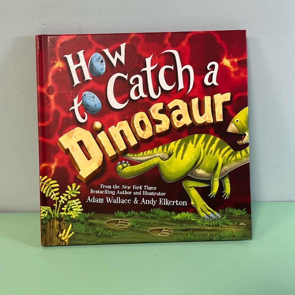 How to Catch A Dinosaur Kids Book, Adam Wallace, Reading Age 4+, Dinosaur Book